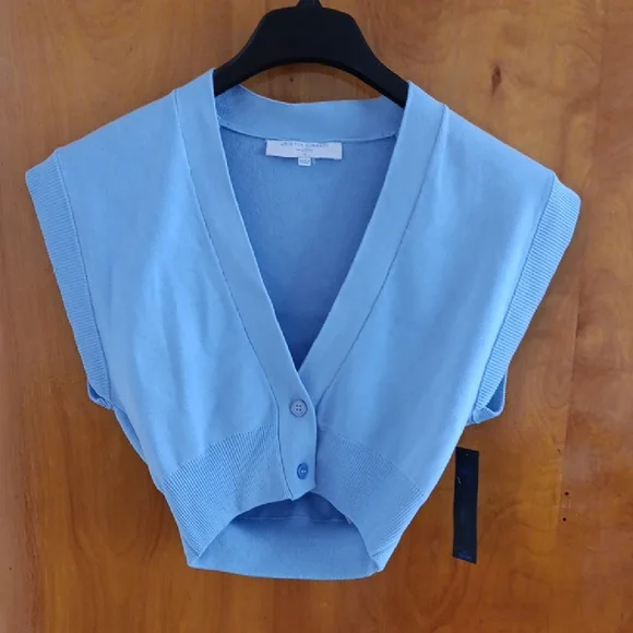 Powder Blue V-Neck Cropped Sweater - Picture 1 of 4
